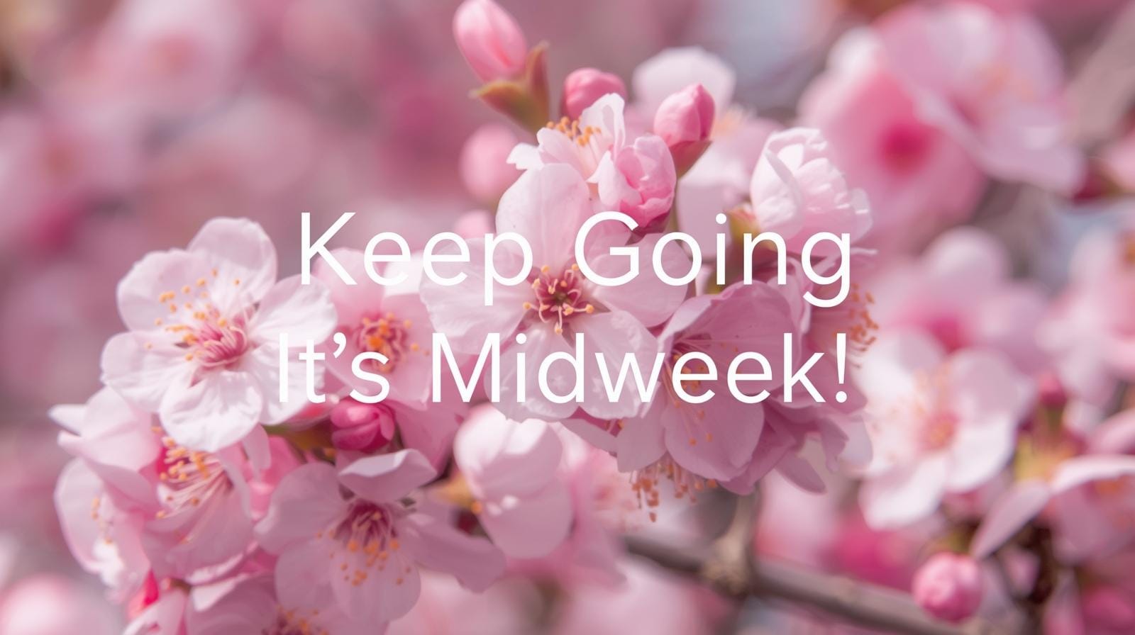 Midweek motivational Wednesday blessings quote graphic.